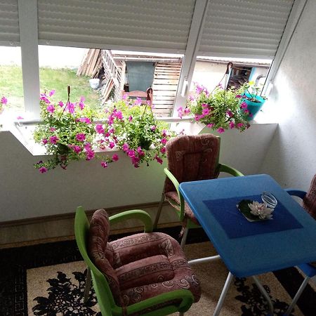 Rzav Bed & Breakfast Višegrad Rom bilde